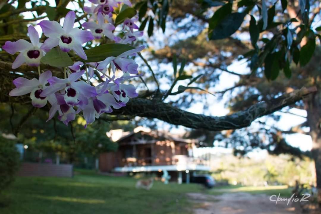 Linda Casa De Campo Viamão Eksteriør billede