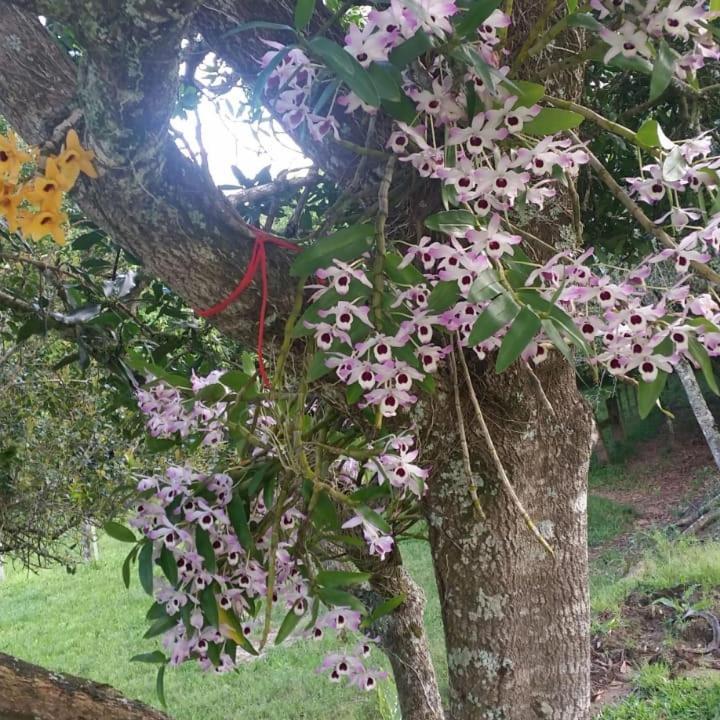 Linda Casa De Campo Viamão Eksteriør billede